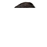 Мусин Спартак Рамизович